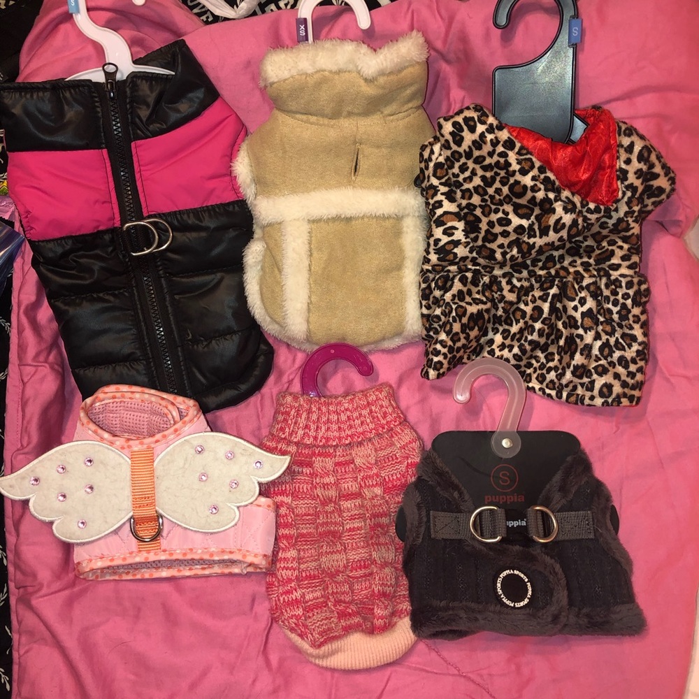 Size small & extra small girl dog bundle
